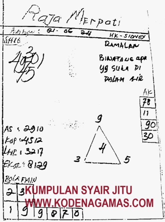 SYAIR SDY VIP